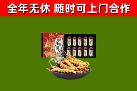 敦煌烟酒回收冬虫夏草礼盒.jpg